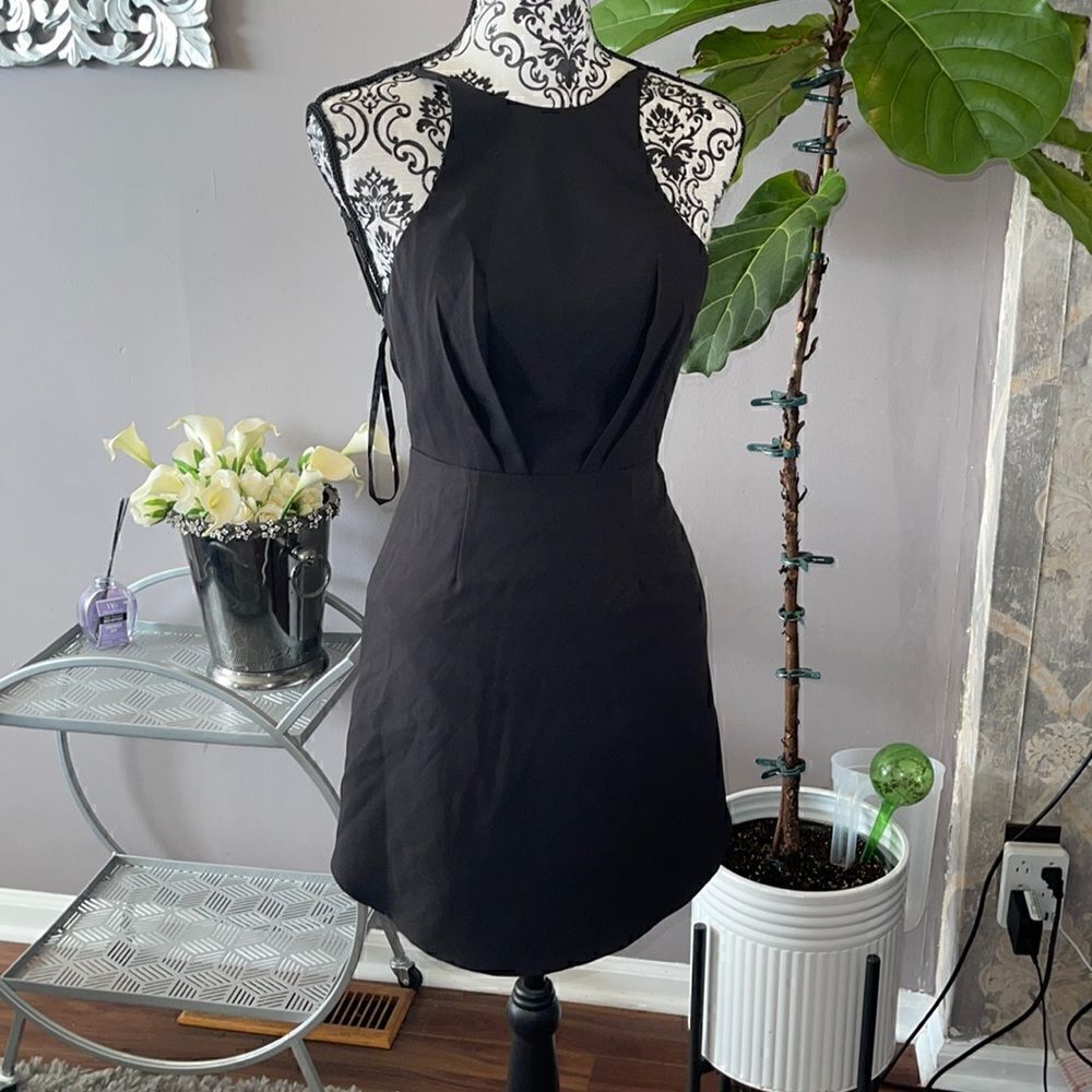 A gorgeous NWT Saint + Secrets dress